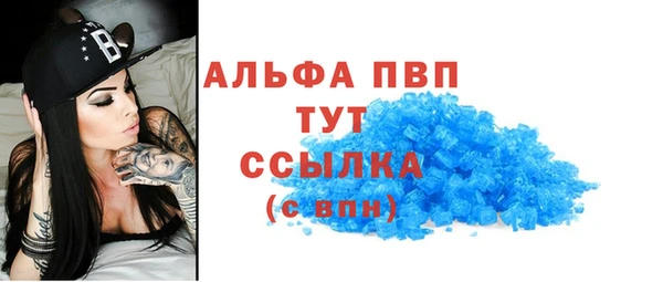 гашик Арсеньев