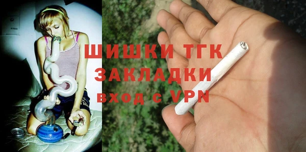 гашик Арсеньев