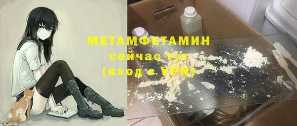 прущие грибы Гусь-Хрустальный