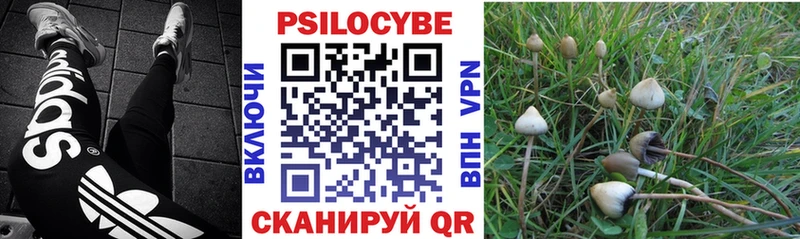 что такое наркотик  Сольцы  Галлюциногенные грибы прущие грибы 